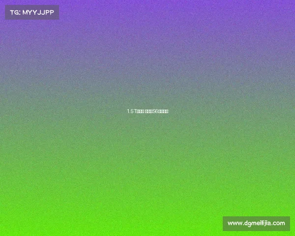 1.5T自乐型 新幻速S6购车手册